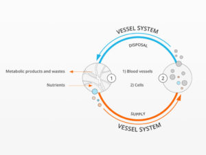 vessel-system-1024x770
